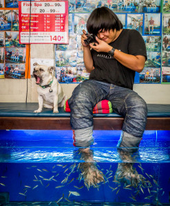 Fish Spa, Chiang Mai, Thailand