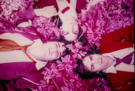 The Webb Brothers